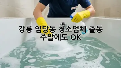 강릉 임당동 청소업체 출동! 주말에도 OK!