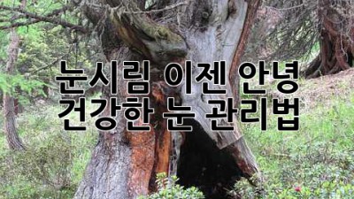 눈시림, 이젠 안녕! 건강한 눈 관리법