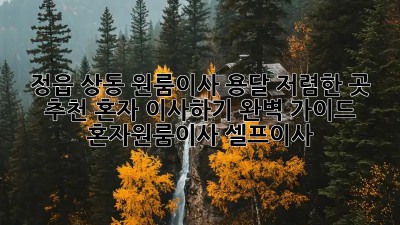 정읍 상동 원룸이사 용달 저렴한 곳 추천! 혼자 이사하기 완벽 가이드✨ #혼자원룸이사 #셀프이사
